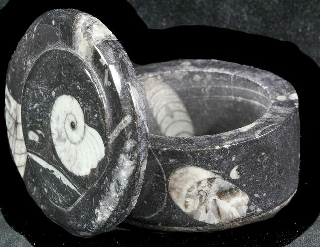 Small Fossil Goniatite Jar (Black) - Stoneware #48715